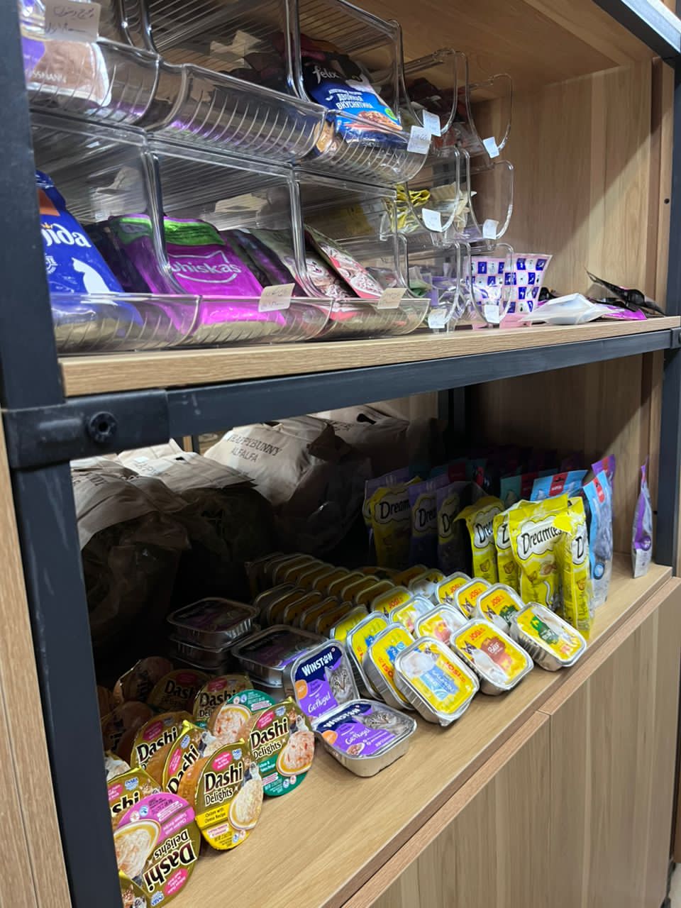 کلینیک دامپزشکی یونا در قم کلینیک دامپزشکی یونا در قم