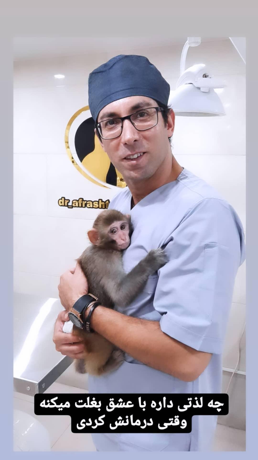 کلینیک دامپزشکی دکتر افراشته در رودسر کلینیک دامپزشکی دکتر افراشته در رودسر