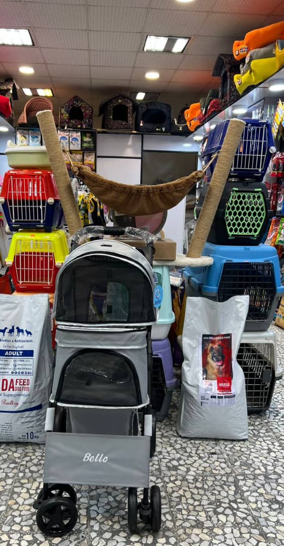 پت شاپ و کلینیک حیوانات خانگی و دامپزشکی داگلند در آمل