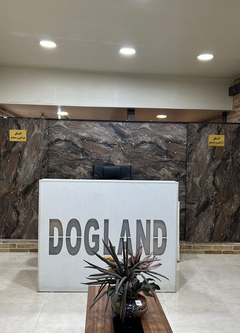 پت شاپ و کلینیک حیوانات خانگی و دامپزشکی داگلند در آمل