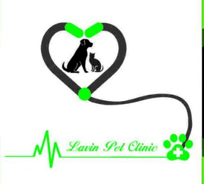 کلینیک دامپزشکی و پت شاپ لاوین در تهران کلینیک دامپزشکی و پت شاپ لاوین در تهران
