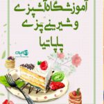 آموزشگاه آشپزی و شیرینی پزی پاپاتیا در مشگین شهر