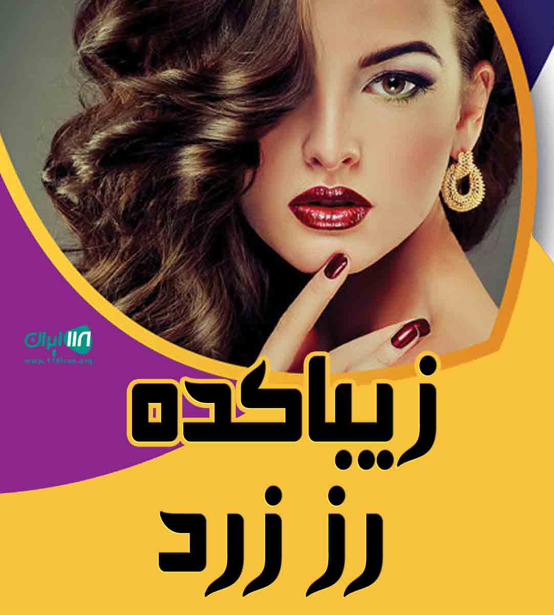 زیباکده رز زرد در شاهرود