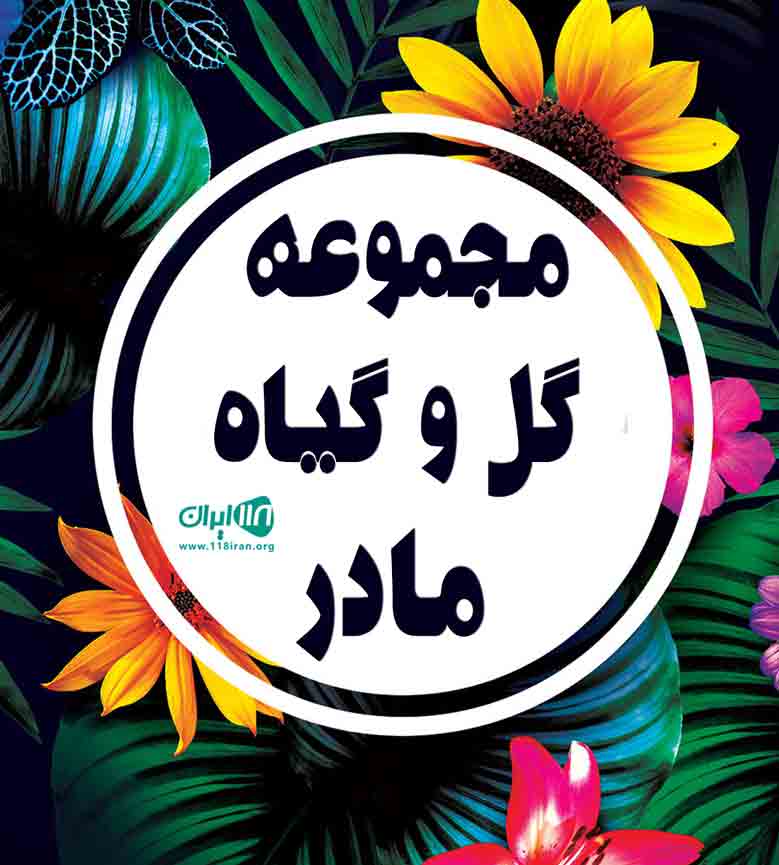 مجموعه گل و گیاه مادر در بهشهر مجموعه گل و گیاه مادر در بهشهر