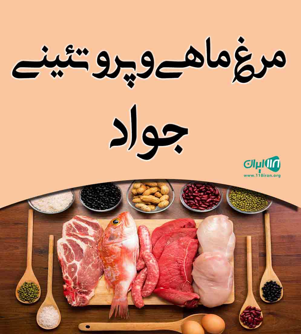 مرغ ماهی و پروتئینی جواد در چهارده آستانه اشرفیه