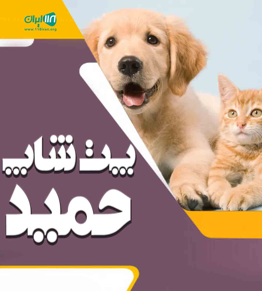 پت شاپ حمید در تهران پت شاپ حمید در تهران