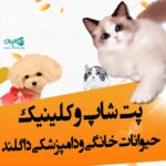 پت شاپ و کلینیک حیوانات خانگی و دامپزشکی داگلند در آمل