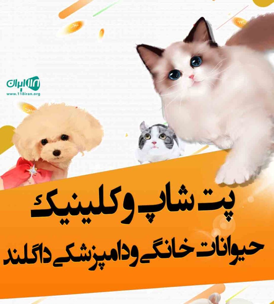 پت شاپ و کلینیک حیوانات خانگی و دامپزشکی داگلند در آمل