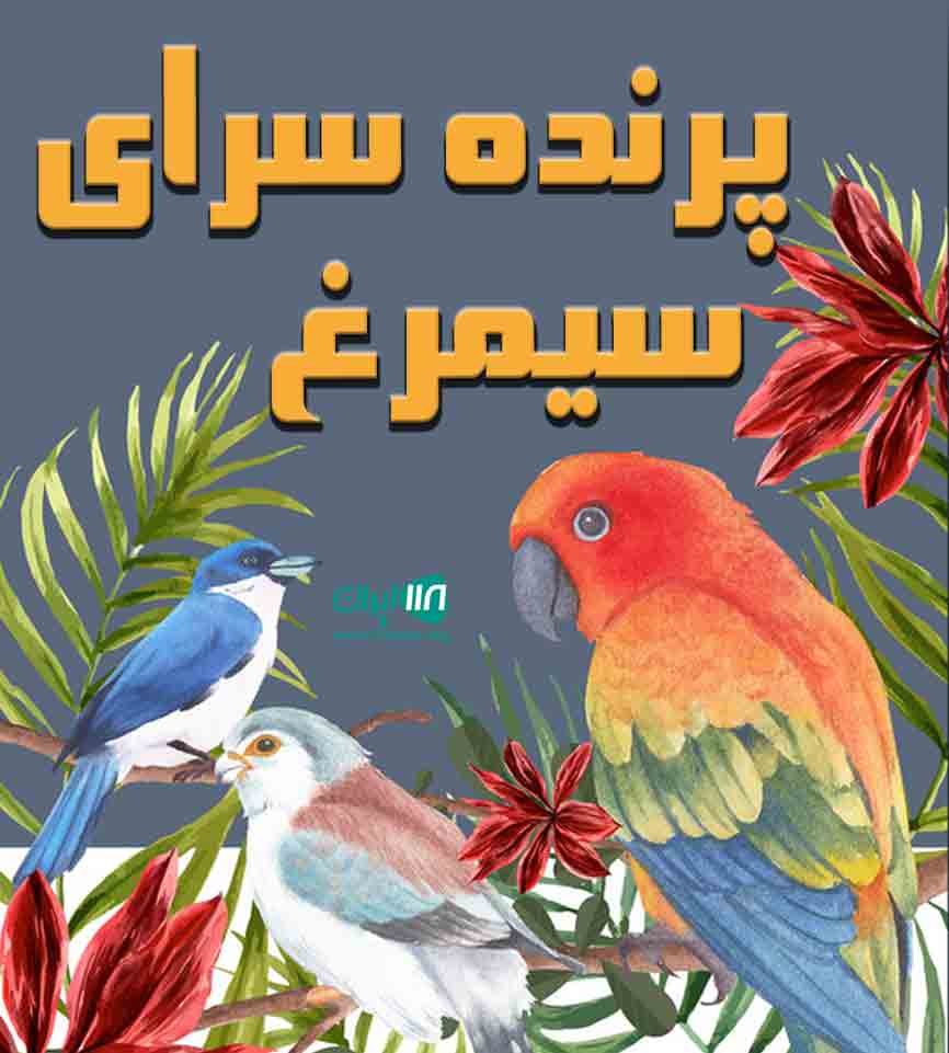 پرنده سرای سیمرغ در ساوه
