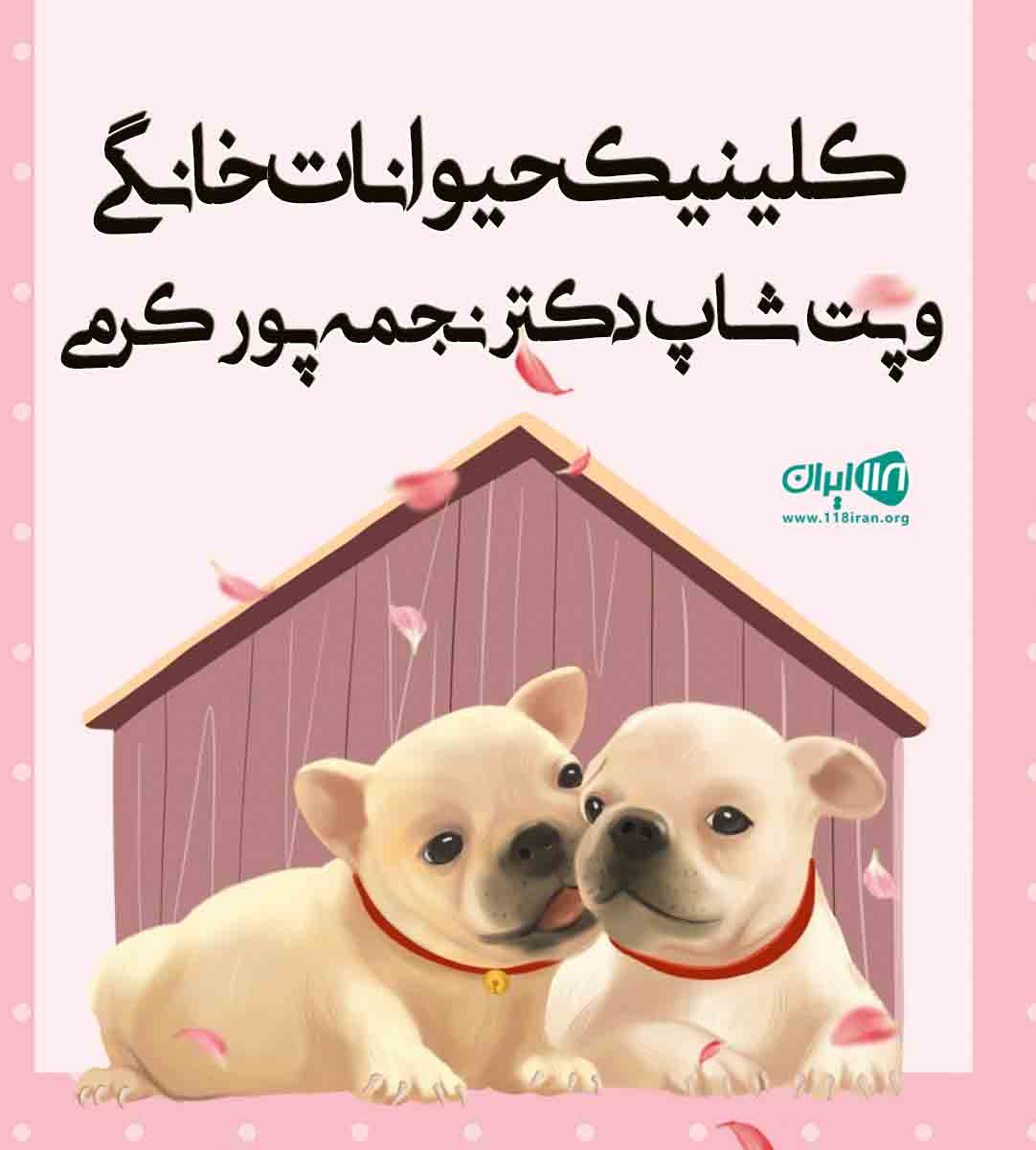 کلینیک حیوانات خانگی و پت شاپ دکتر نجمه پورکرمی در زابل کلینیک حیوانات خانگی و پت شاپ دکتر نجمه پورکرمی در زابل