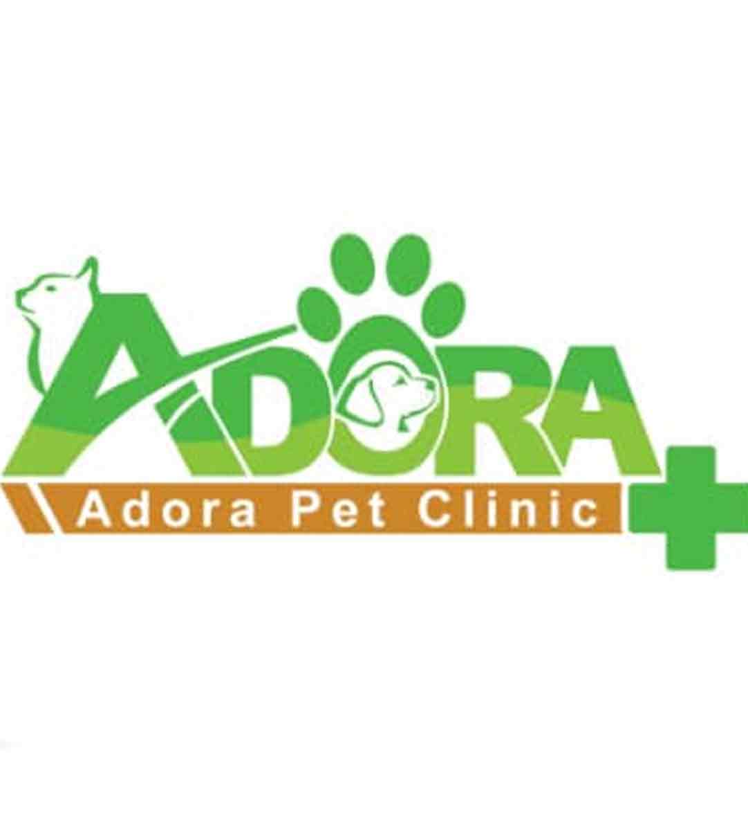 کلینیک دامپزشکی آدورا در رشت