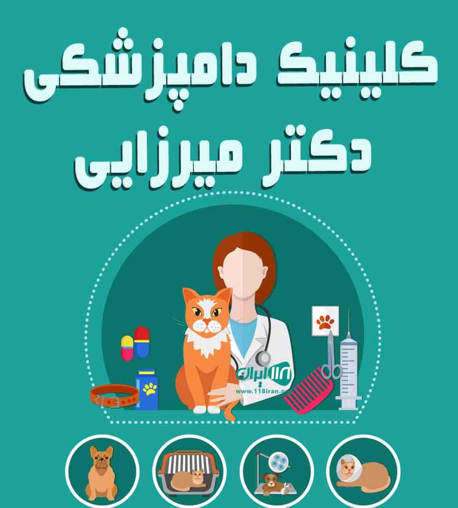 کلینیک دامپزشکی دکتر میرزایی در رودسر