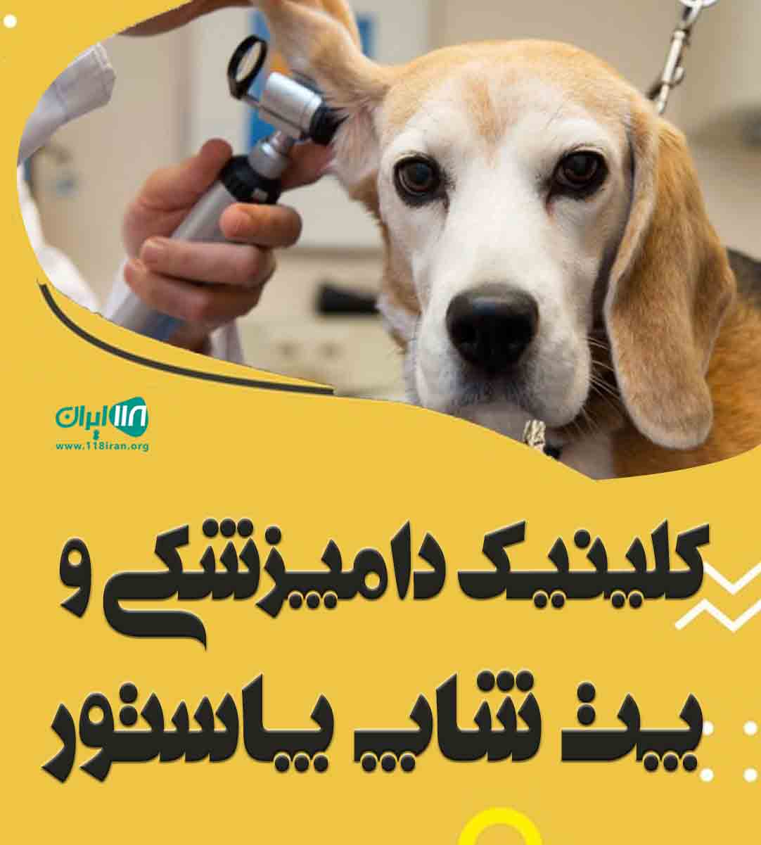 کلینیک دامپزشکی و پت شاپ پاستور در مراغه کلینیک دامپزشکی و پت شاپ پاستور در مراغه