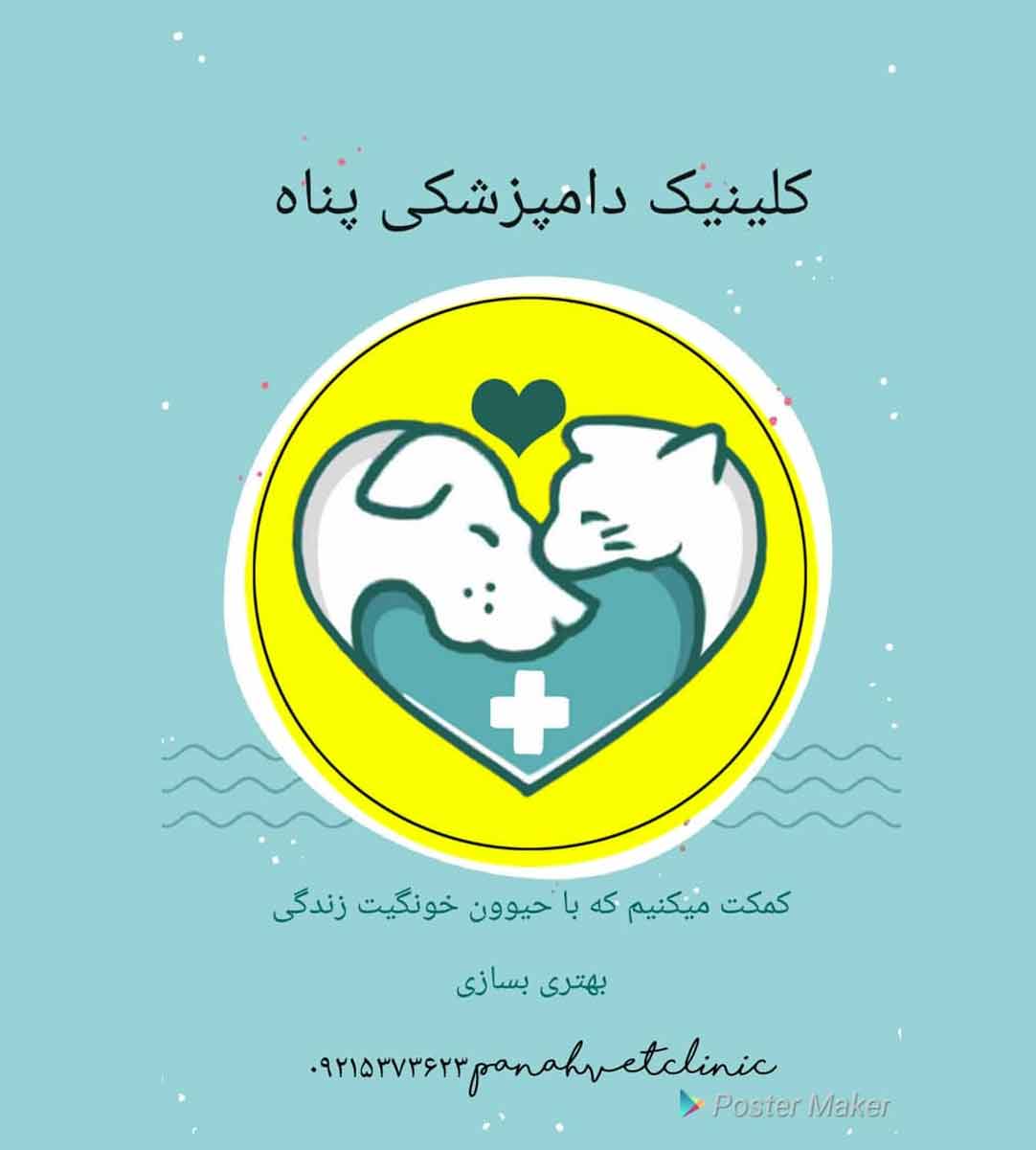 کلینیک دامپزشکی و پت شاپ پناه در سیرجان کلینیک دامپزشکی و پت شاپ پناه در سیرجان