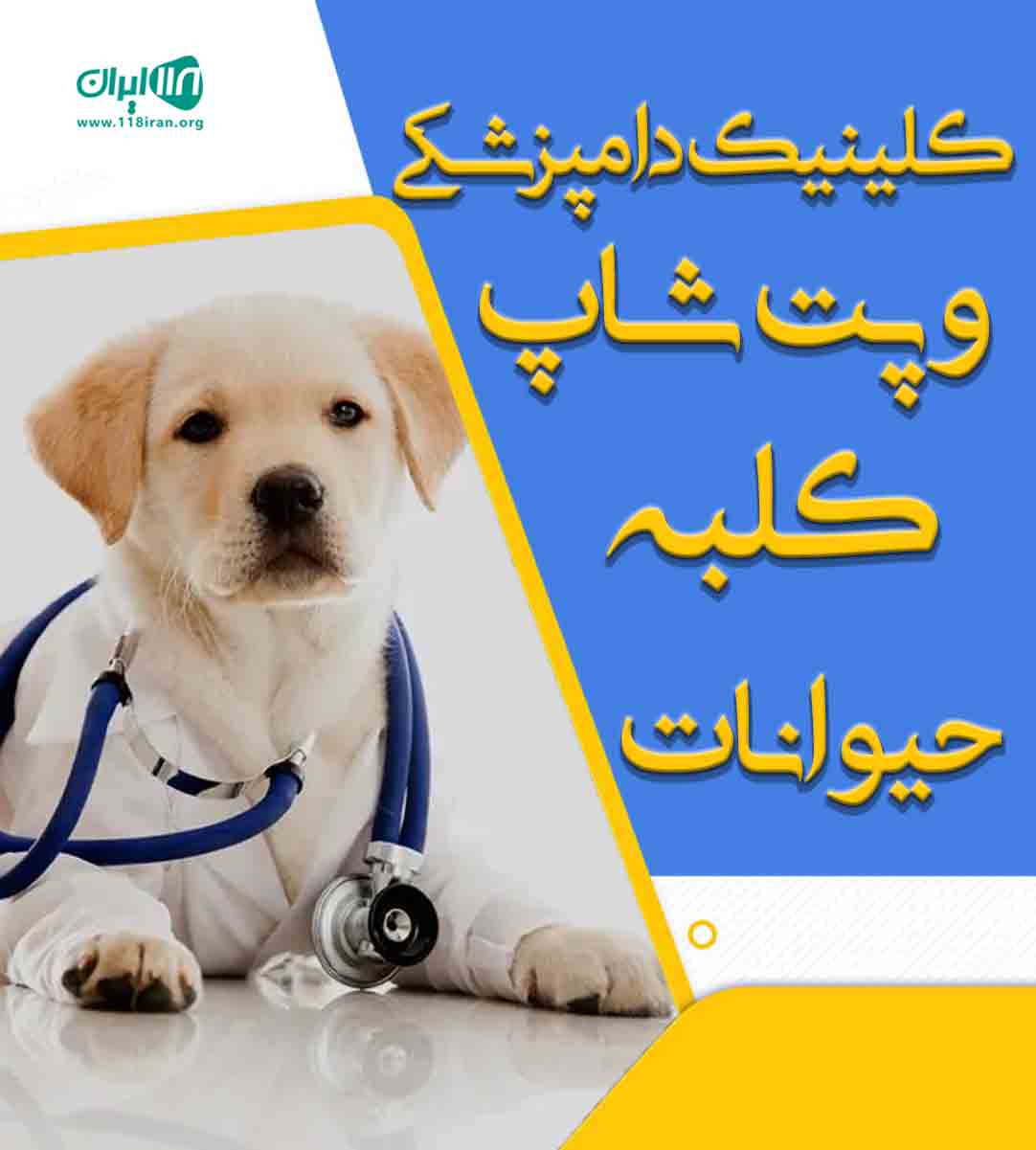 کلینیک دامپزشکی و پت شاپ کلبه حیوانات در زاهدان کلینیک دامپزشکی و پت شاپ کلبه حیوانات در زاهدان