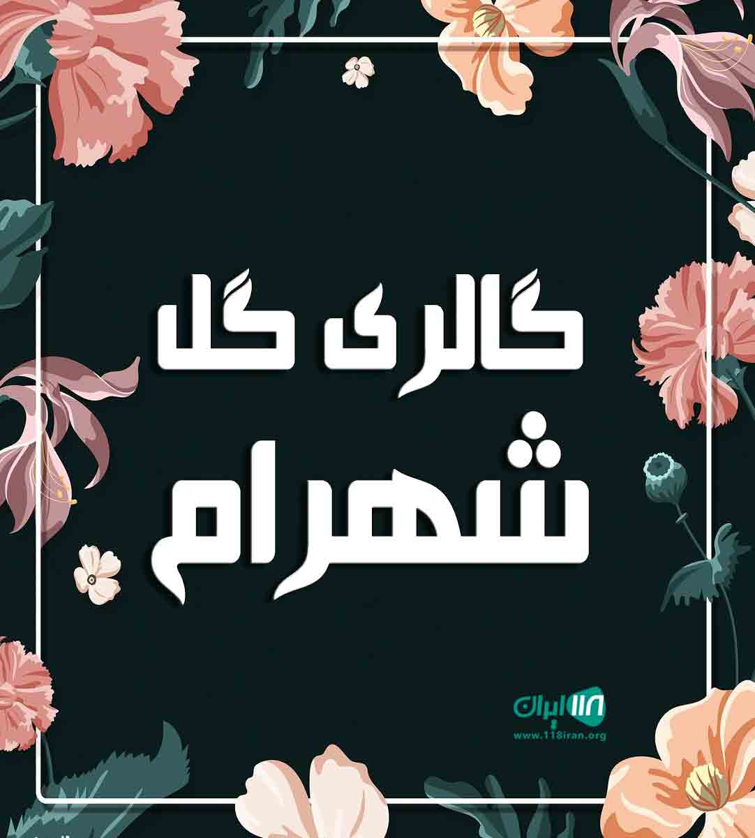 گالری گل شهرام در گرگان گالری گل شهرام در گرگان