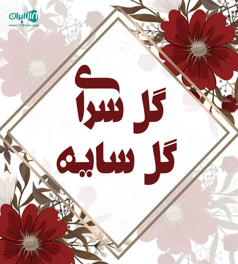 گل سرای گل سایه در ملایر