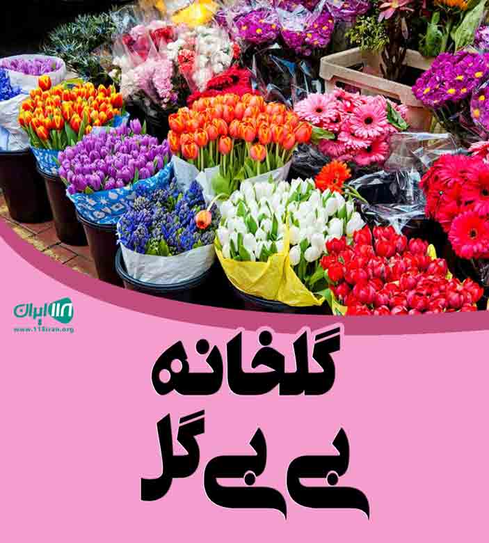 گلخانه بی بی گل در قزوین گلخانه بی بی گل در قزوین