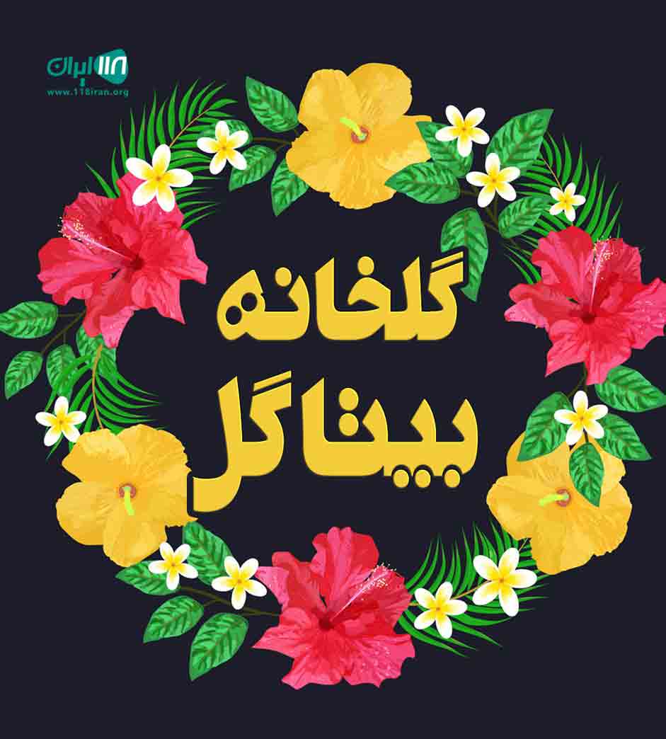 گلخانه بیتا گل در بابل گلخانه بیتا گل در بابل