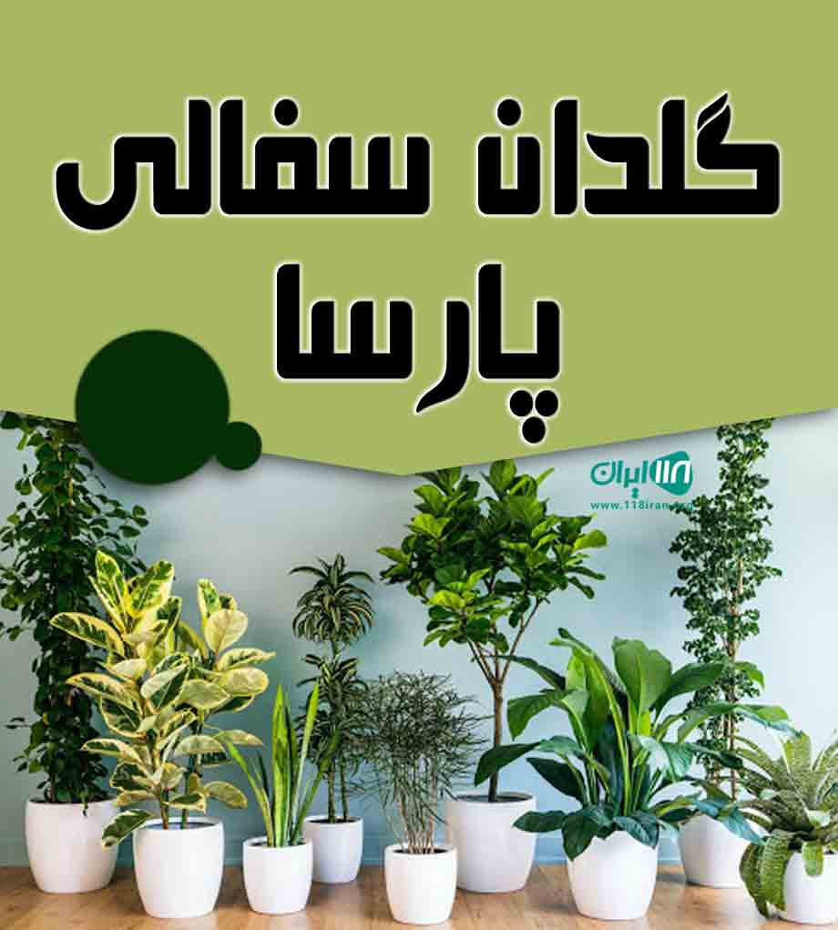 گلدان سفالی پارسا در مازندران