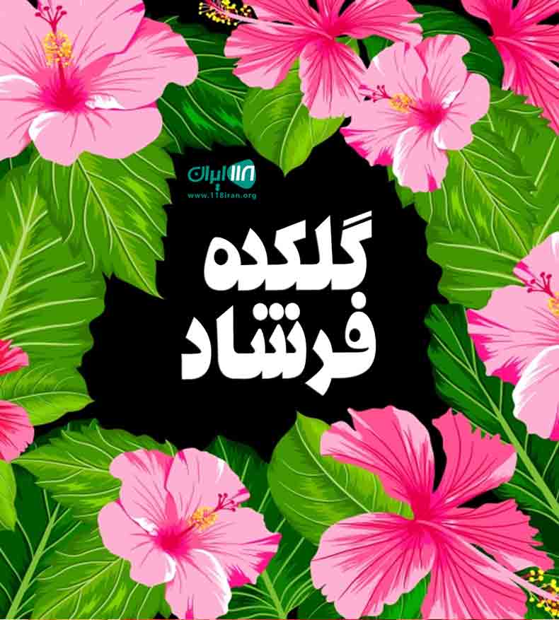 گلکده فرشاد در رشت گلکده فرشاد در رشت