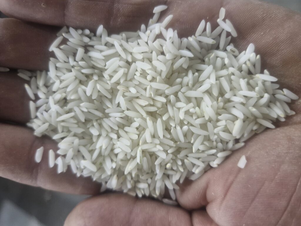کارخانه برنج کوبی سفید دانه