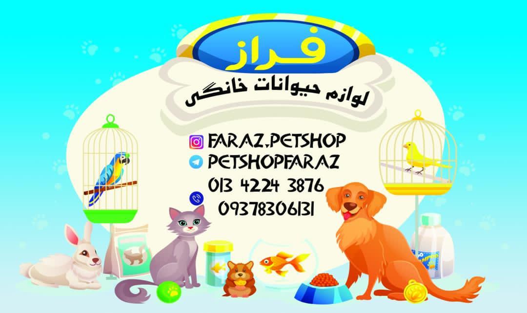 پت شاپ فراز در لاهیجان پت شاپ فراز در لاهیجان