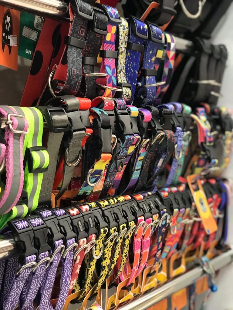 پت شاپ وایو در لنگرود