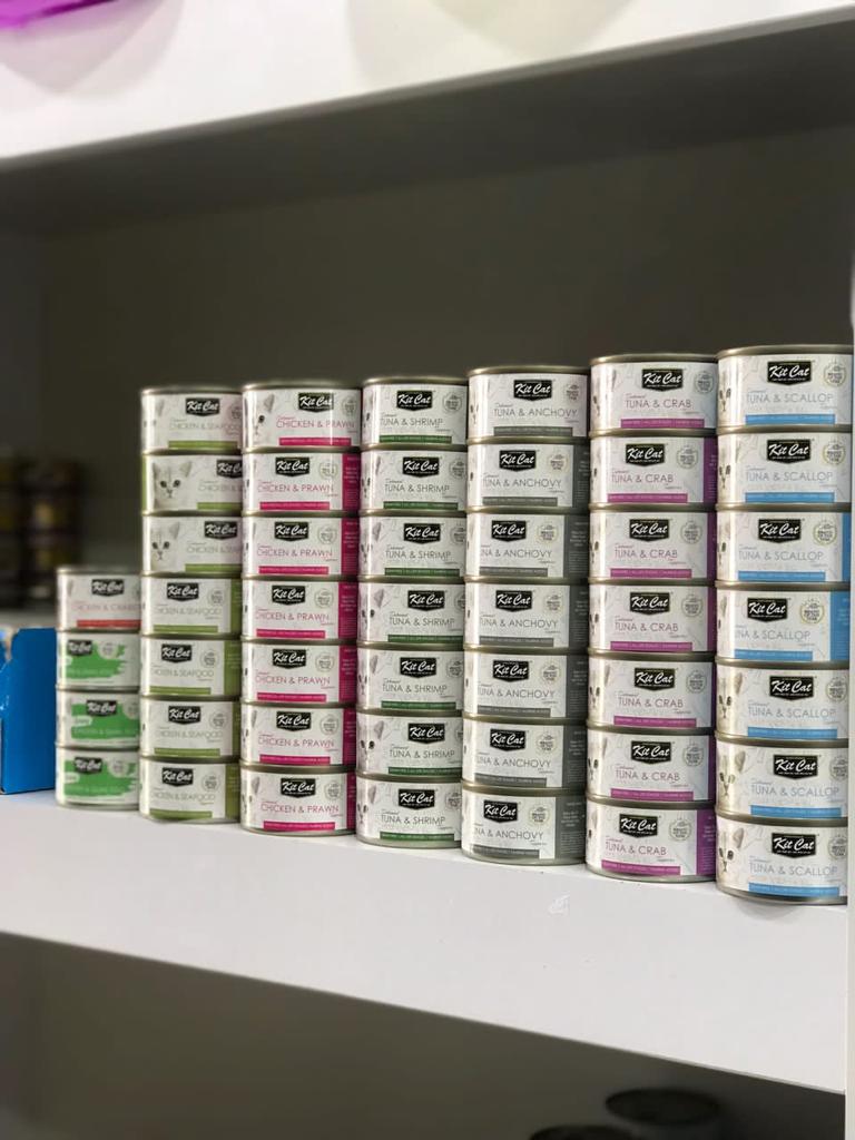 پت شاپ وایو در لنگرود