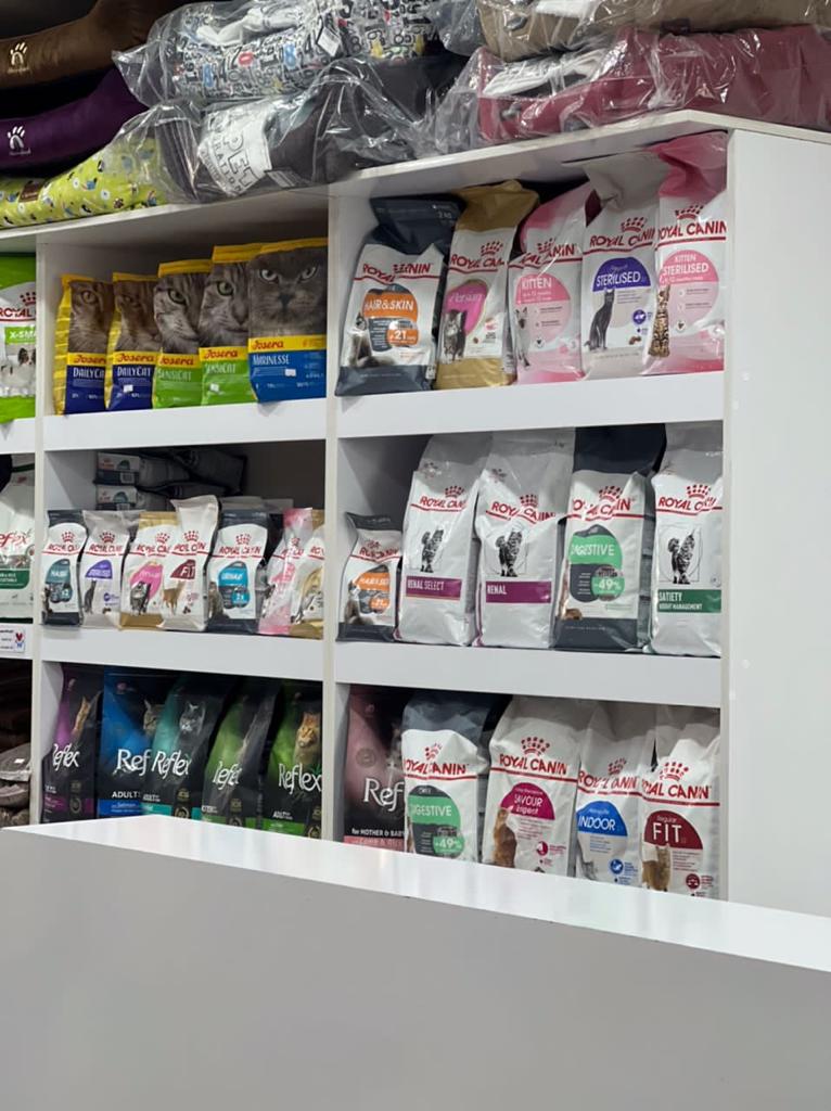 پت شاپ وایو در لنگرود