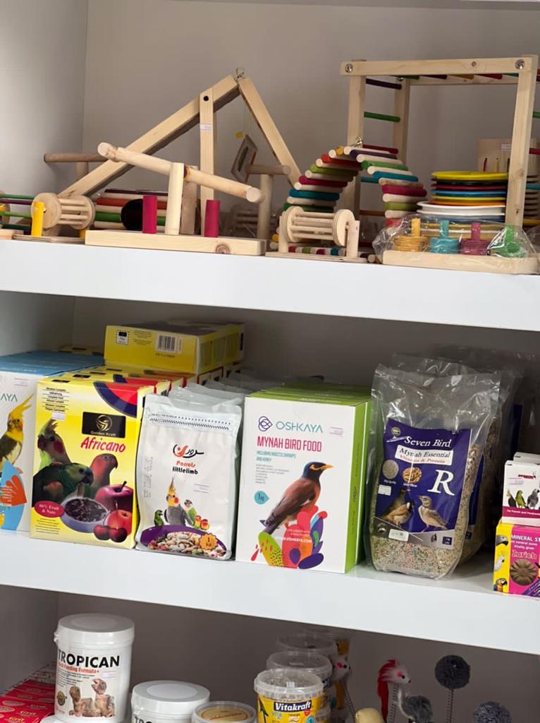 پت شاپ وایو در لنگرود