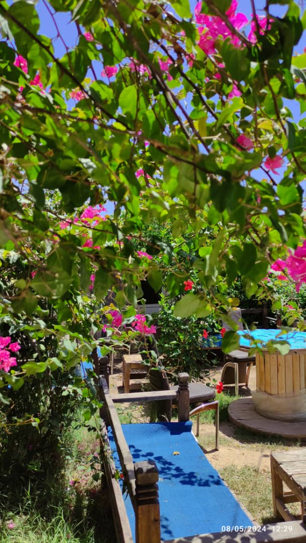 باغ تالار ماه رویان در خرمشهر