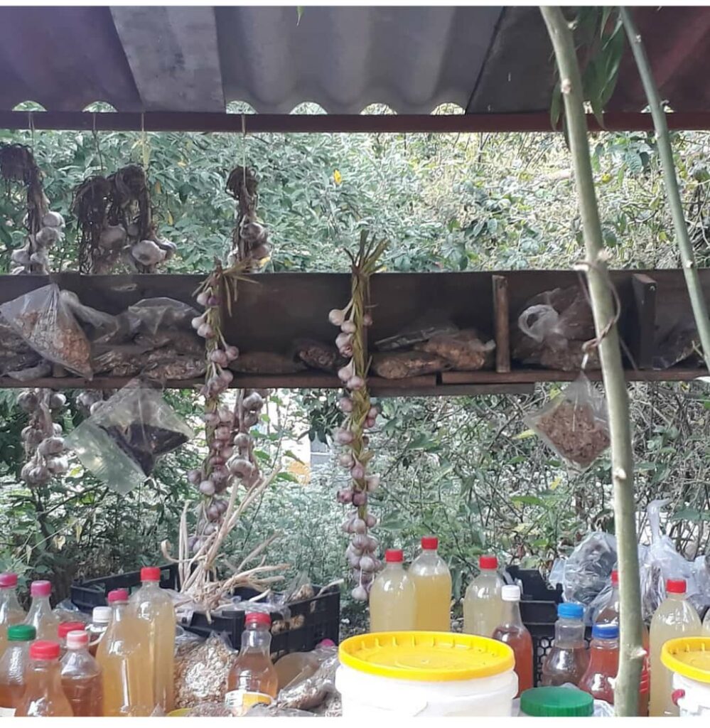 استراحتگاه ثامن در چابکسر استراحتگاه ثامن در چابکسر