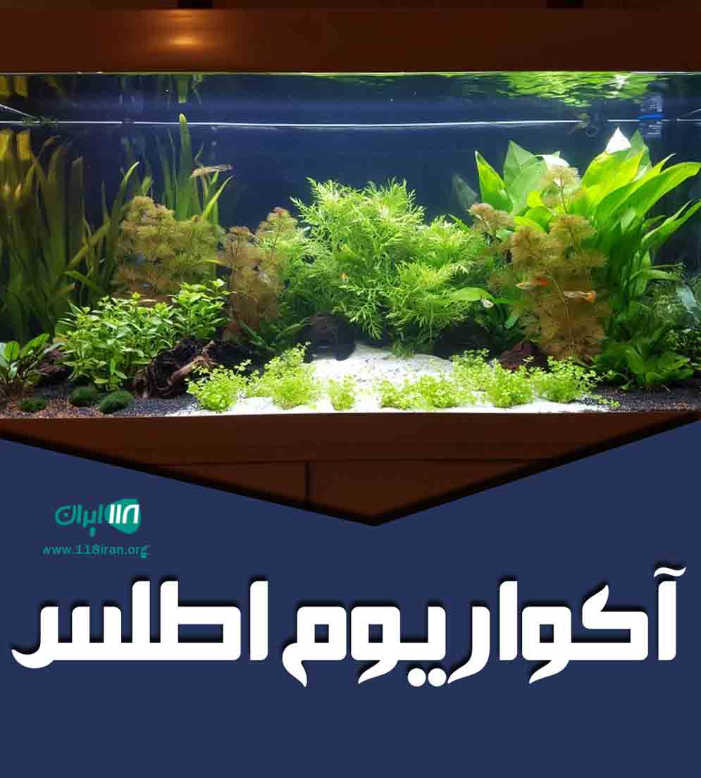 آکواریوم اطلس در شهرکرد