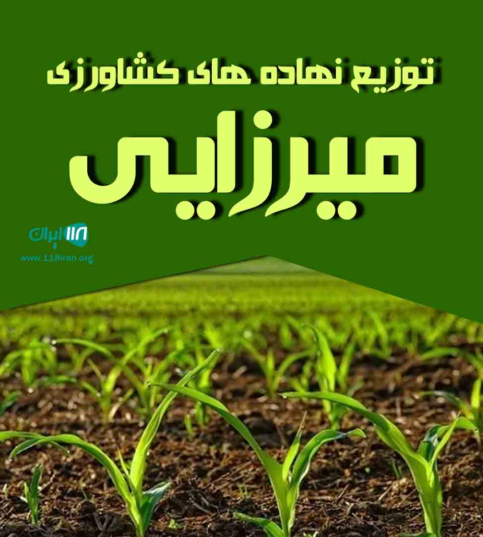 توزیع نهاده های کشاورزی میرزایی در گیلان