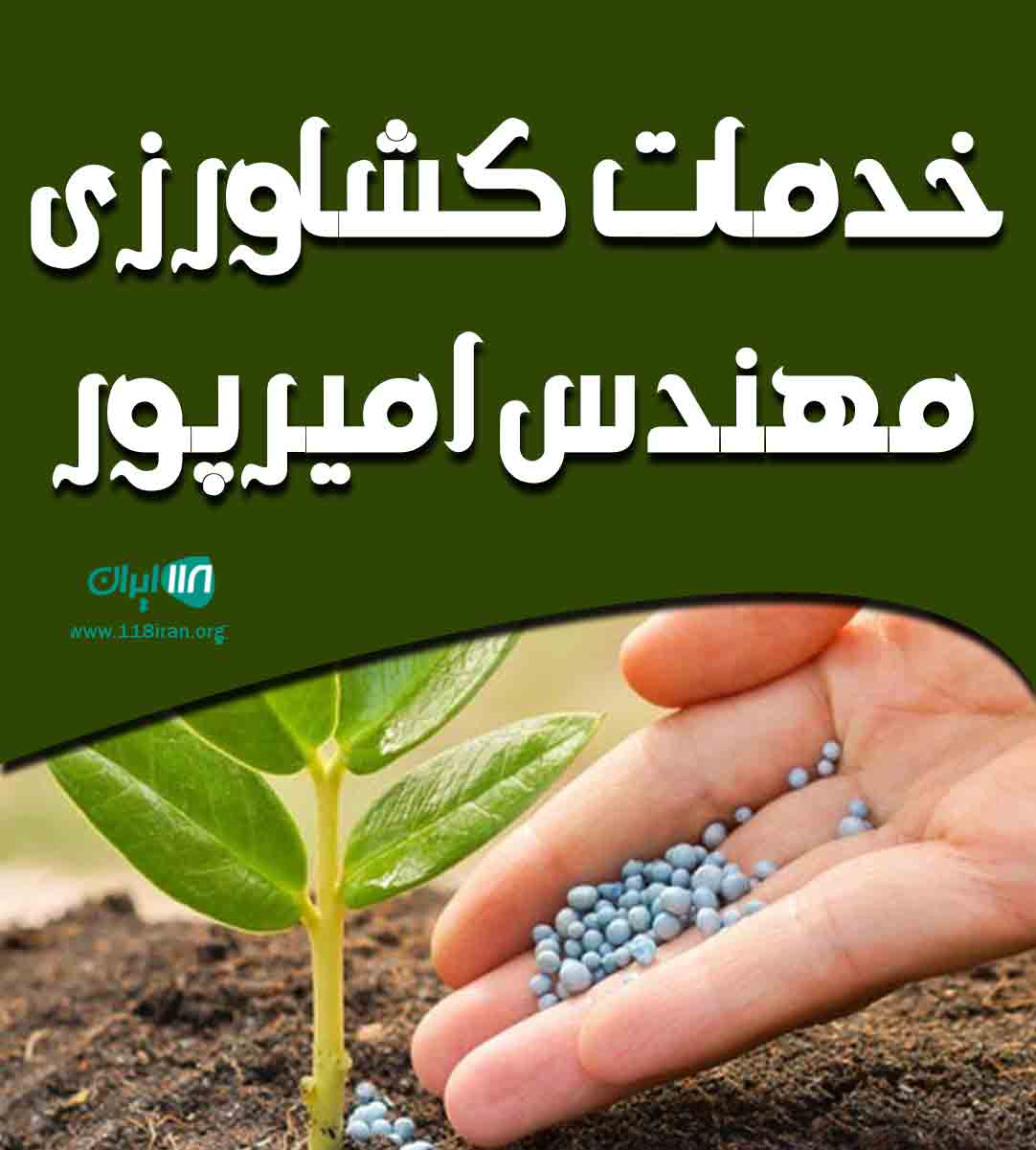 خدمات کشاورزی مهندس امیرپور در چالوس خدمات کشاورزی مهندس امیرپور در چالوس