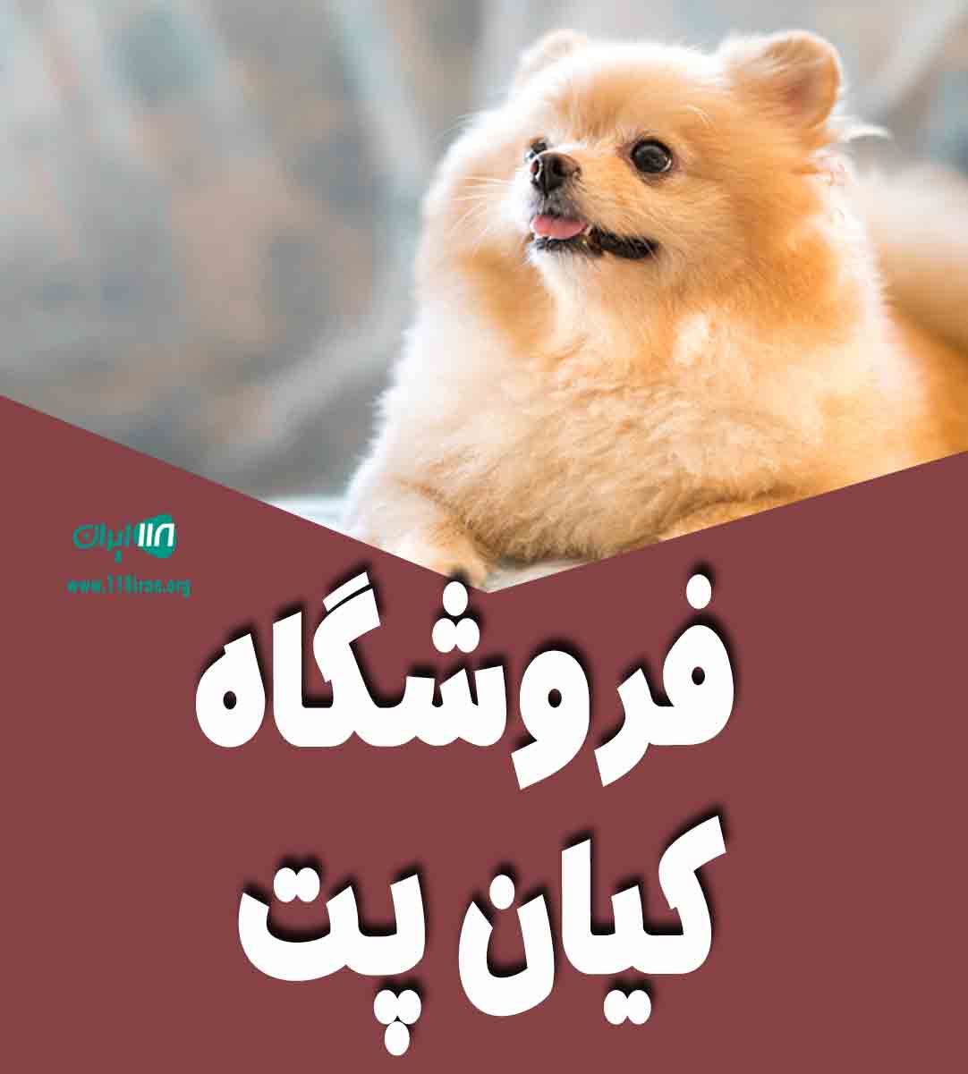 فروشگاه کیان پت در تهران فروشگاه کیان پت در تهران