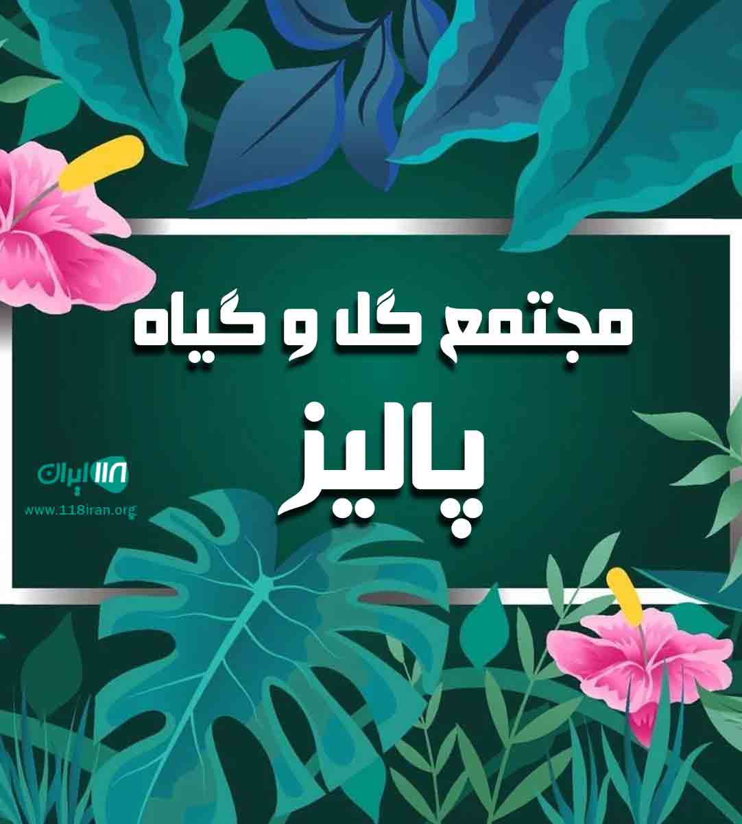 مجتمع گل و گیاه پالیز در رشت مجتمع گل و گیاه پالیز در رشت