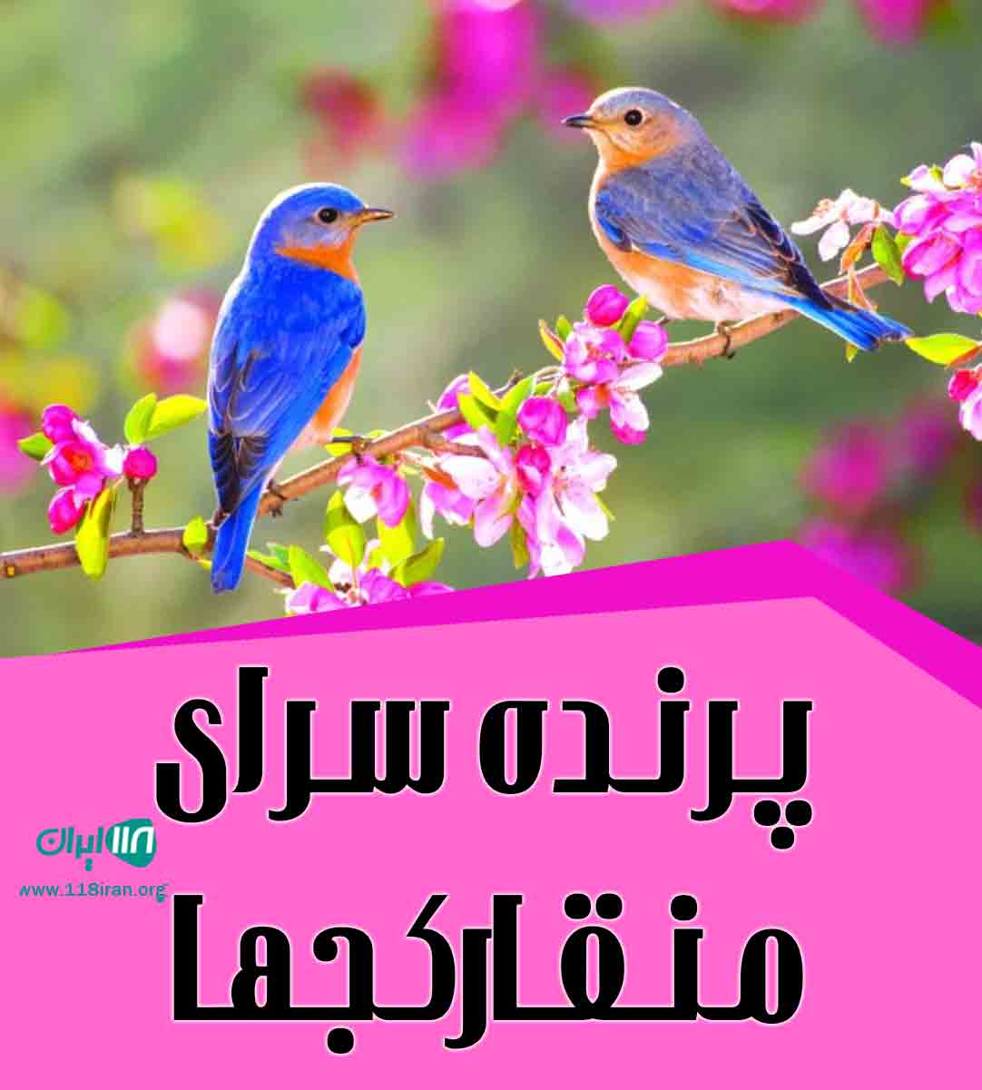 پرنده سرای منقارکجها در چابهار و کنارک پرنده سرای منقارکجها در چابهار و کنارک