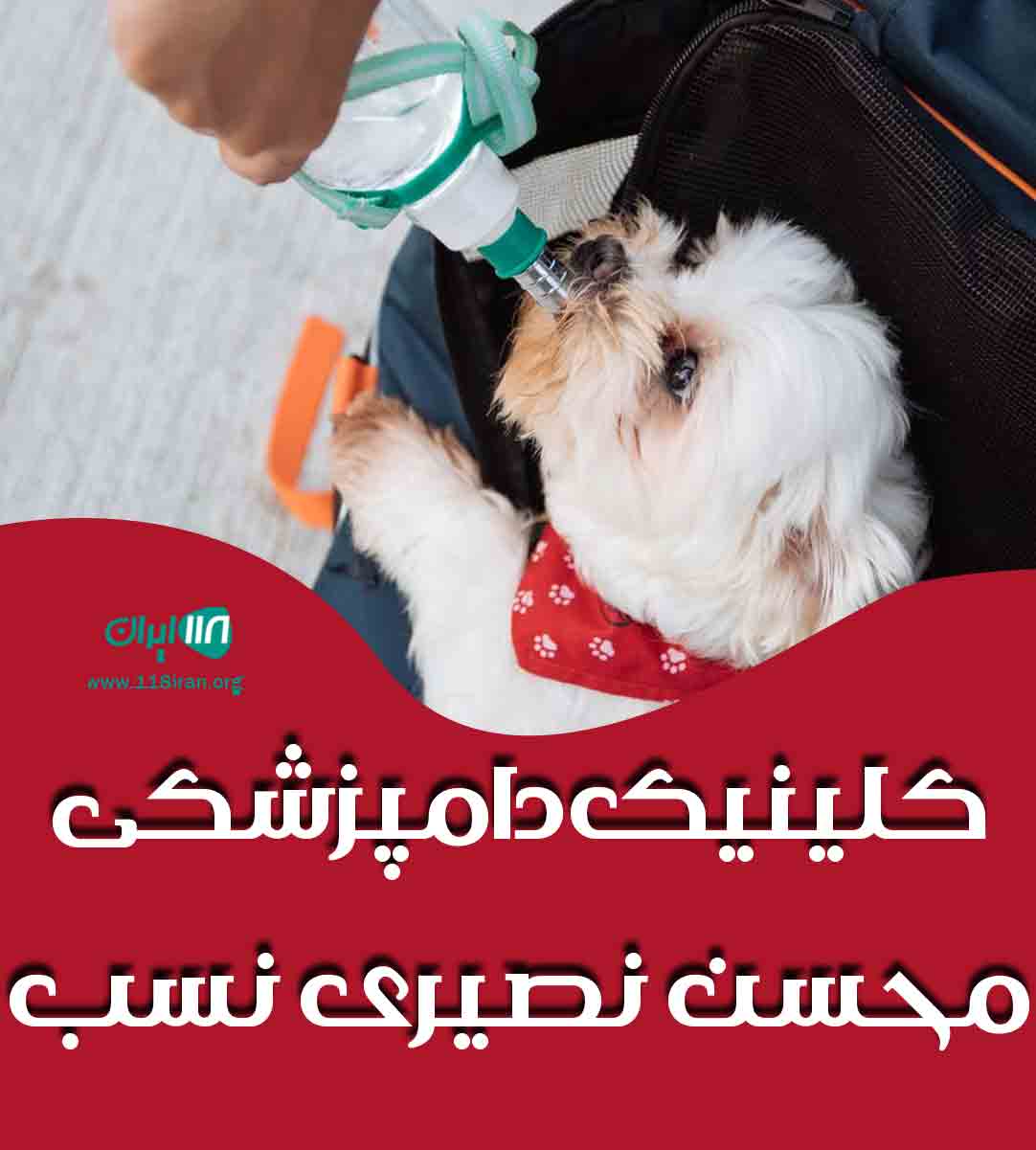 کلینیک دامپزشکی محسن نصیری نسب در رفسنجان کلینیک دامپزشکی محسن نصیری نسب در رفسنجان