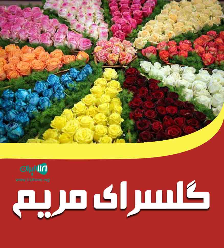 گلسرای مریم در سنگر گلسرای مریم در سنگر