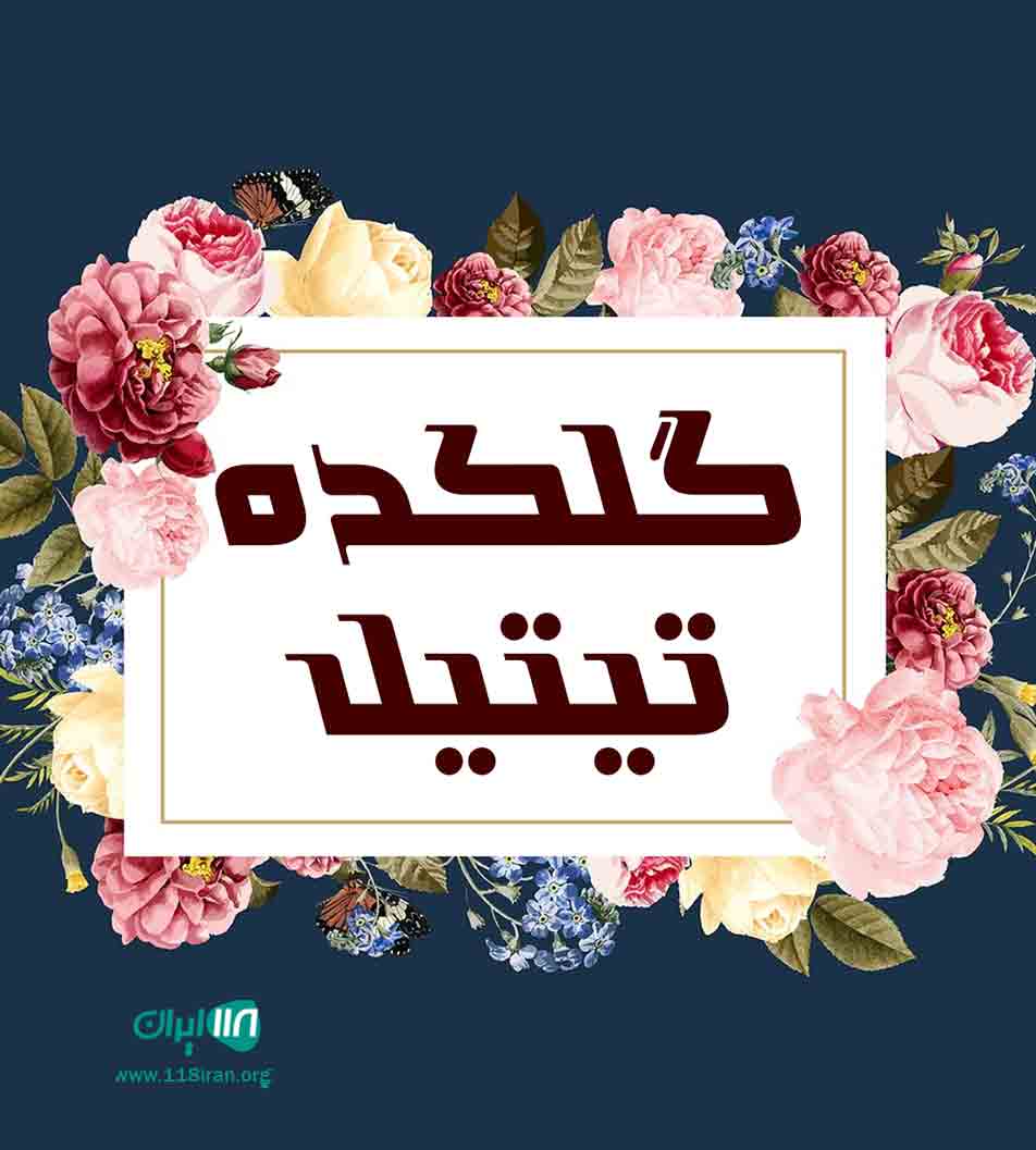 گلکده تیتیل در لشت نشا گلکده تیتیل در لشت نشا