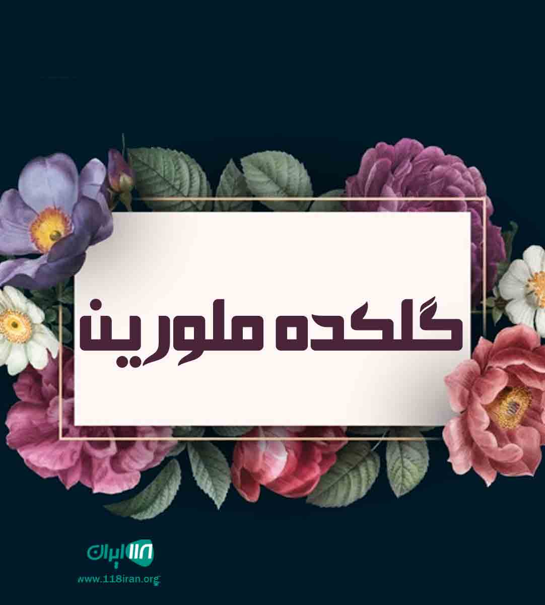 گلکده ملورین در کلاچای گلکده ملورین در کلاچای