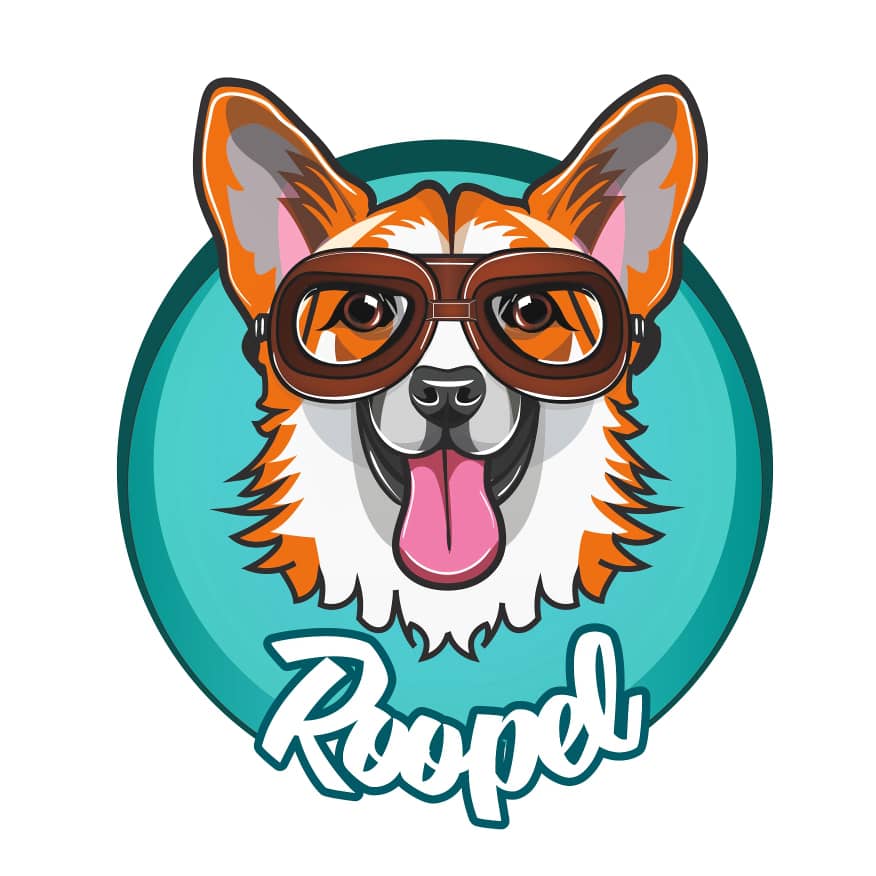 شرکت خوراک حیوانات خانگی روپل در کرج شرکت خوراک حیوانات خانگی روپل در کرج