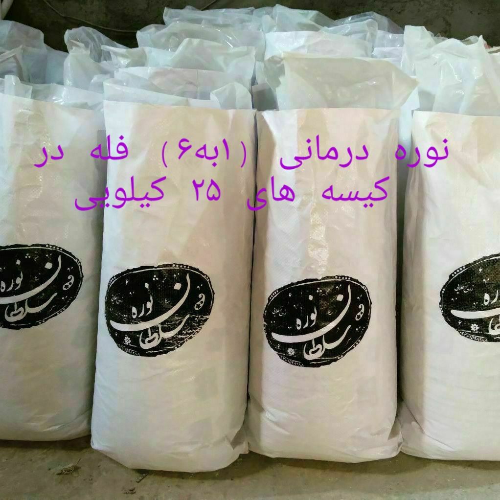 تولیدی نوره سلطان در قم