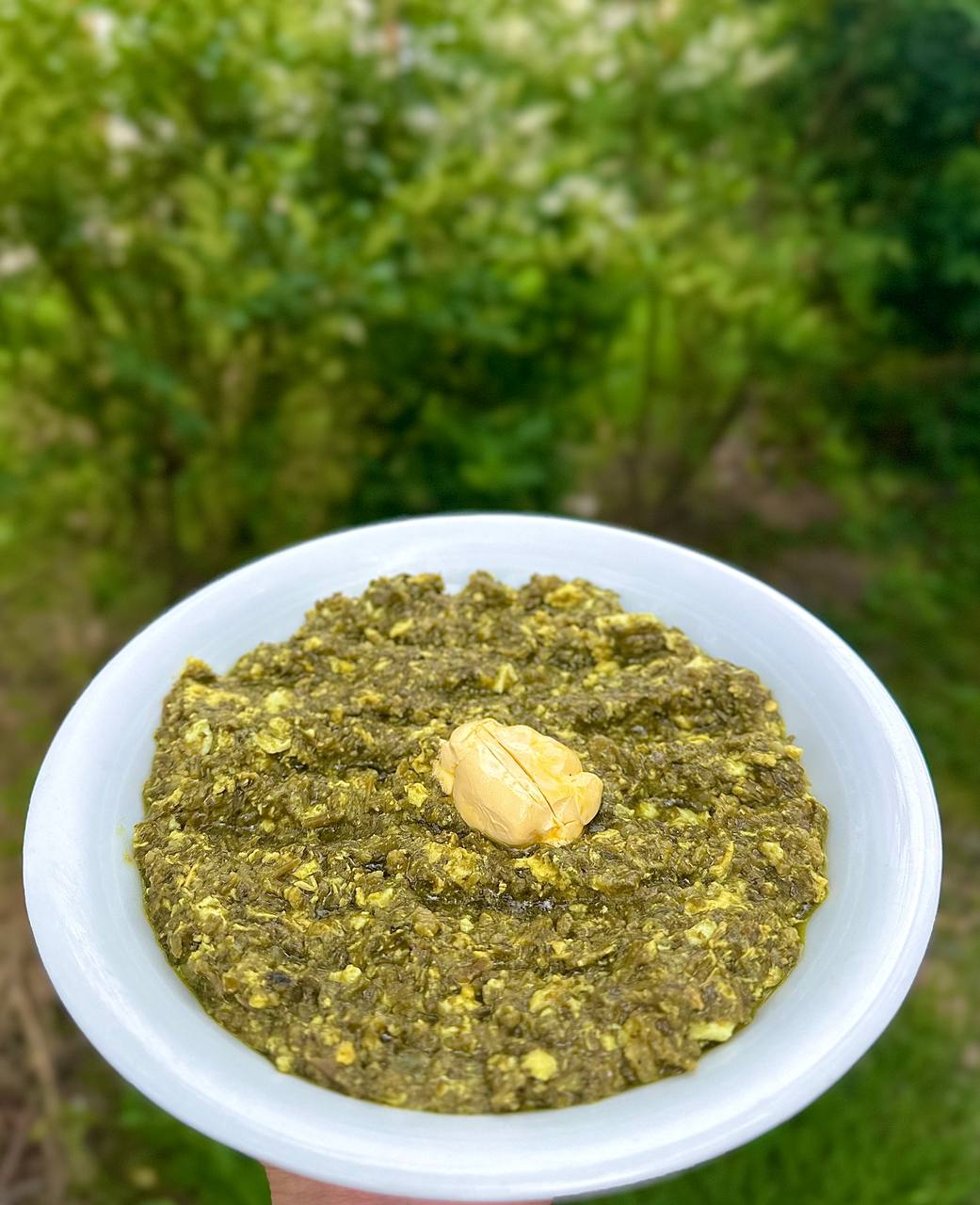 مجموعه رفاهی ستاره شمال در ضیابر صومعه سرا