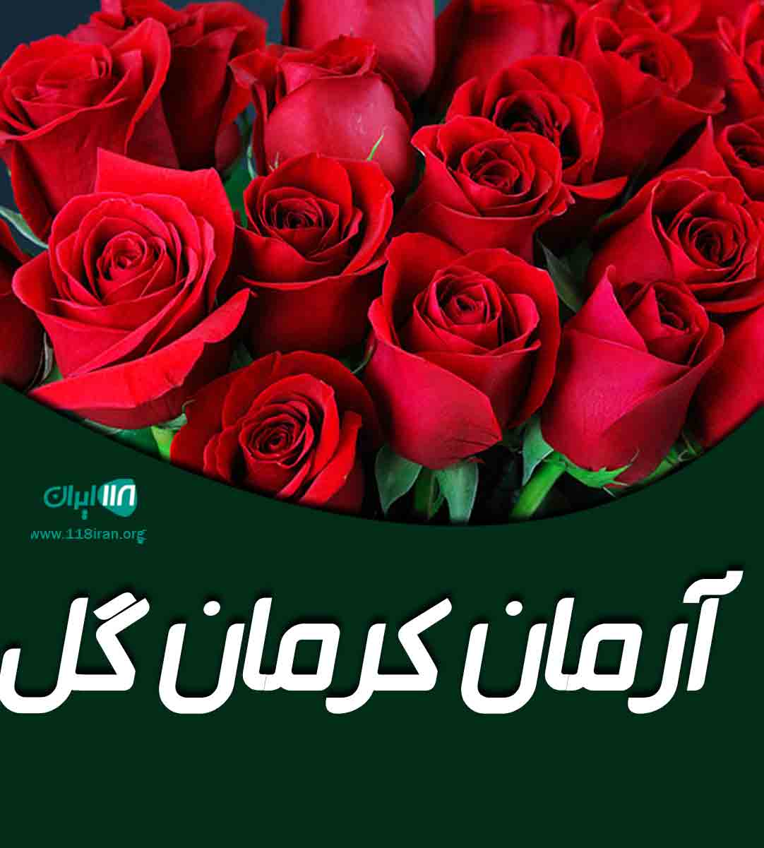 آرمان کرمان گل در کرمان آرمان کرمان گل در کرمان