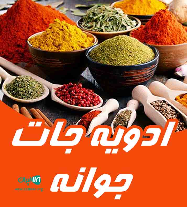 ادویه جات جوانه در نیشابور ادویه جات جوانه در نیشابور