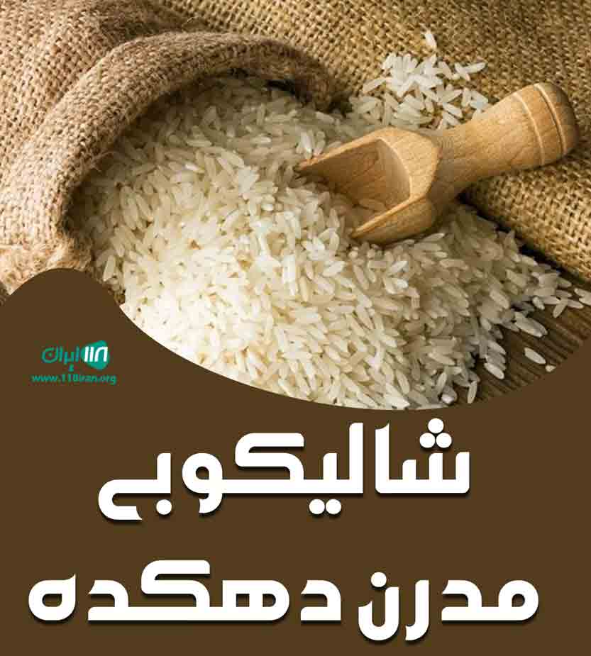 شالیکوبی مدرن دهکده در صومعه سرا شالیکوبی مدرن دهکده در صومعه سرا