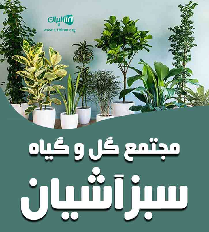 مجتمع گل و گیاه سبزآشیان در عجب شیر شیشوان مجتمع گل و گیاه سبزآشیان در عجب شیر شیشوان